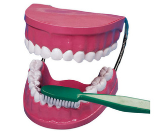 Model čištění zubů