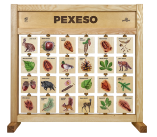 Pexeso - stolní
