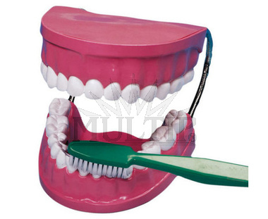 Model čištění zubů
