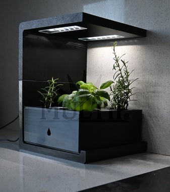 Hydroponická farma Ekoro