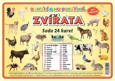 Domácí zvířata, sada 24 karet