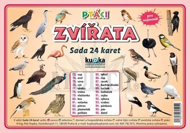 Ptáci, sada 24 karet