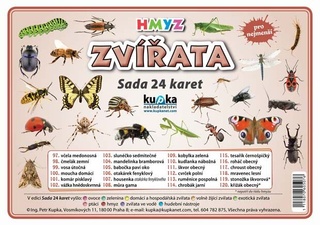 Hmyz, sada 24 karet