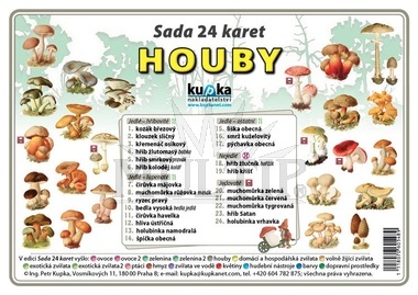 Houby, sada 24 karet