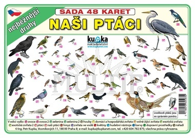 Sada 48 karet - naši ptáci A7 (10x7 cm)