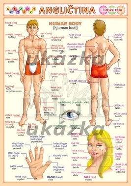 Obrázková angličtina 3 - lidské tělo