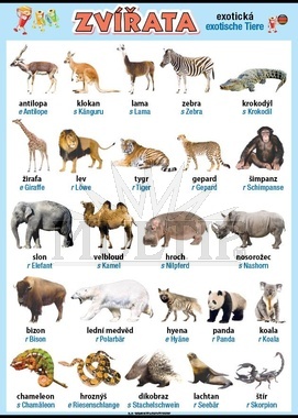 Exotická zvířata v němčině XL (100x70 cm)