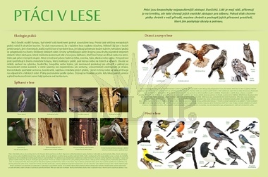 Naučná tabule ptáci