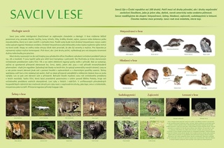 Naučná tabule savci
