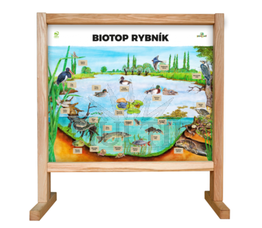 Stolní biotop s magnety - RYBNÍK