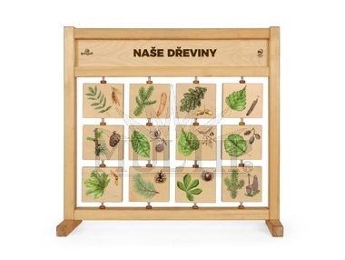 Tabulky poznání stolní - naše dřeviny