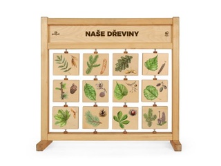 Tabulky poznání stolní - naše dřeviny