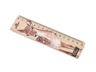 Suvenýr - Pravítko 15 cm