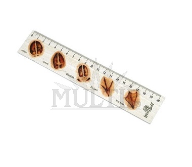 Suvenýr - Pravítko 20 cm