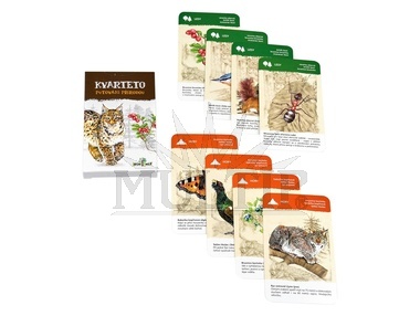 Kvarteto - Putování přírodou