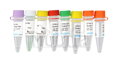 Experimentální sada forenzní PCR