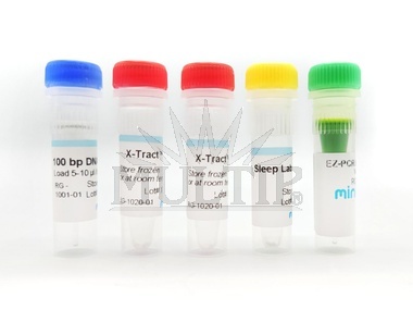 PCR experimentální sada s použitím vlastní DNA