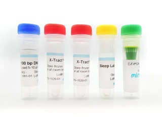 PCR experimentální sada s použitím vlastní DNA