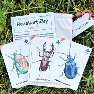 Rezekartičky - Brouci