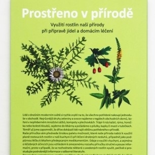 Prostřeno v přírodě