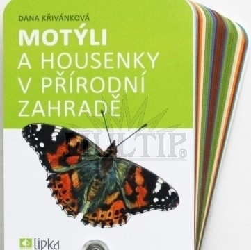 Motýli a housenky v přírodní zahradě