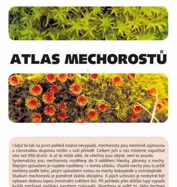 Atlas mechorostů