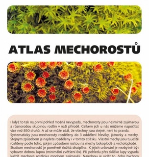 Atlas mechorostů