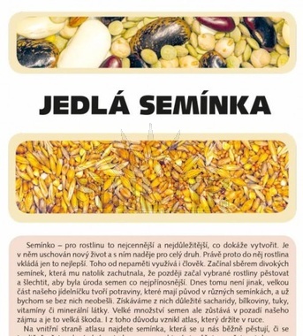 Jedlá semínka