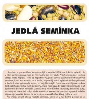 Jedlá semínka