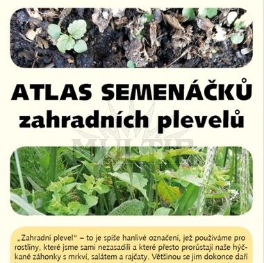 Atlas semenáčků zahradních plevelů