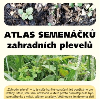 Atlas semenáčků zahradních plevelů