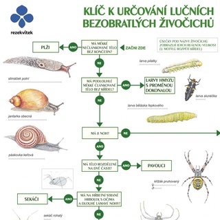 Klíč k určování lučních bezobratlých živočichů