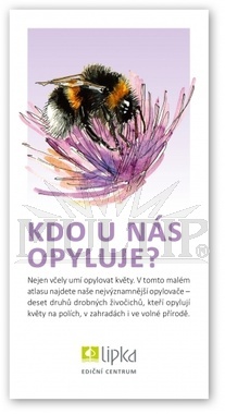 Kdo u nás opyluje?