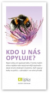 Kdo u nás opyluje?