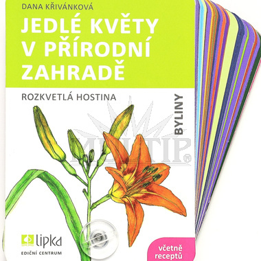 Jedlé květy v přírodní zahradě