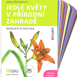Jedlé květy v přírodní zahradě