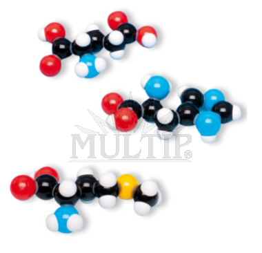 Aminokyseliny, sada 7 modelů
