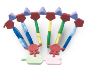 Model molekuly RNA, 12 bází
