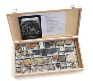 Sbírka fosílií, 40 ks