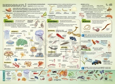 Bezobratlí I A4