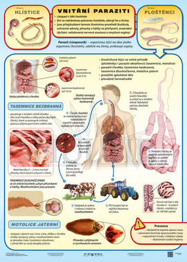 Vnitřní paraziti A4