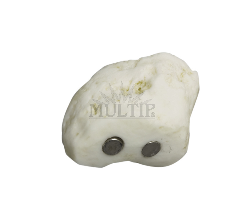 Lidská noha, magnetická